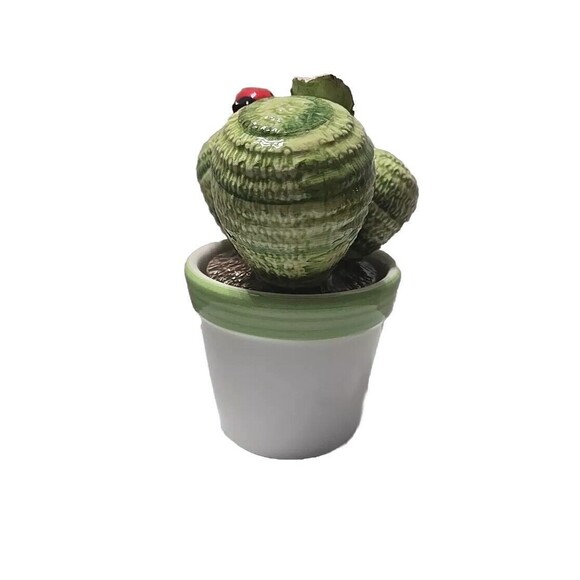 Ceramica Novità Succulents Ceramic Handmade Decorations Made In Italy - Picture 7 of 9